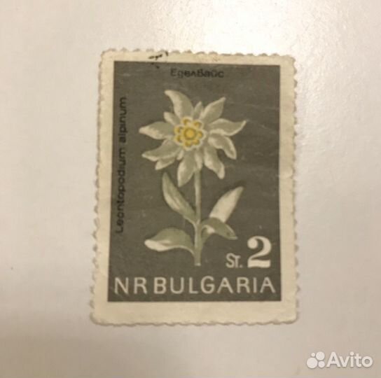 Почтовая марка Болгария