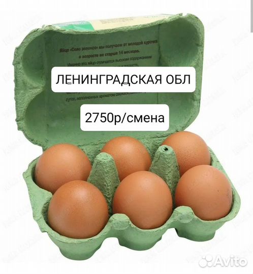 Упаковщик яиц Ленинградская область