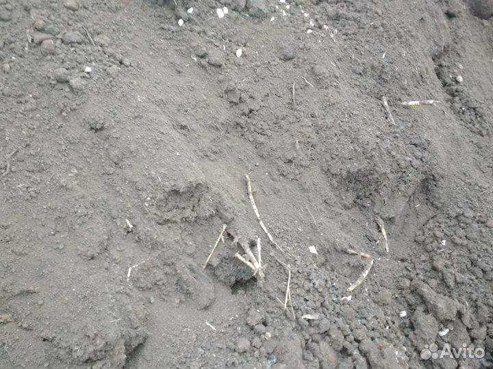 Чернозем, перегной, торф, грунт планировочный