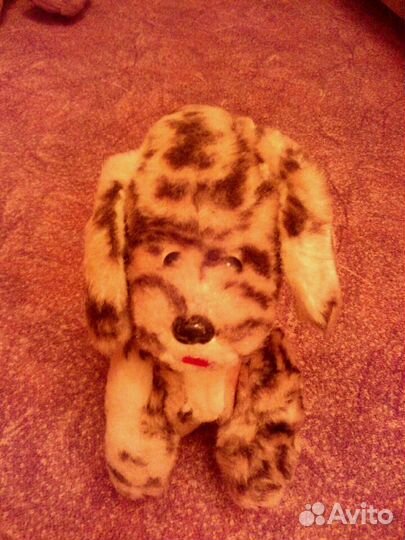 Вот такая псина времен СССР