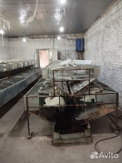 Клетки для кроликов