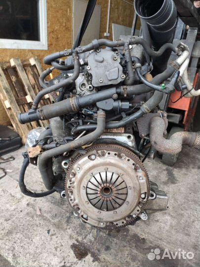 Двигатель Volkswagen Polo 4 (2001 - 2009) 1.4 AMF