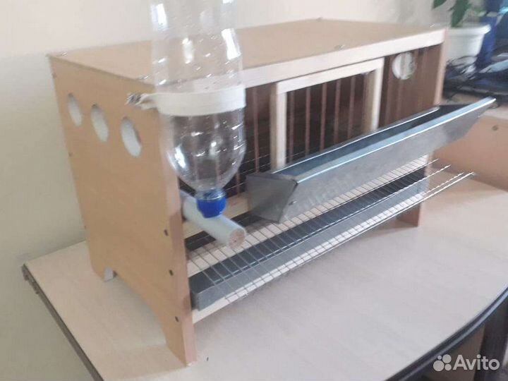 Перепелинная клетка