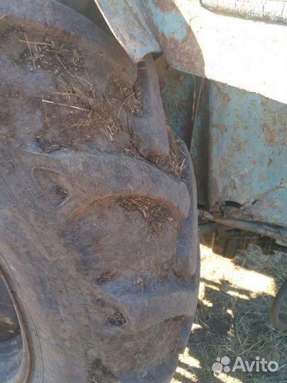 Трактор ЛТЗ Т-40AM, 1984