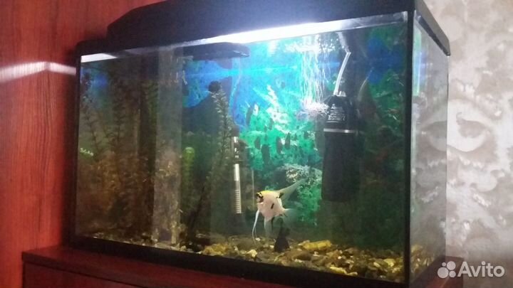 Аквариум 75л со всем оборудованием