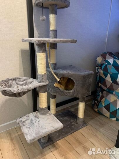 Домик для Кошки с когтеточкой новый