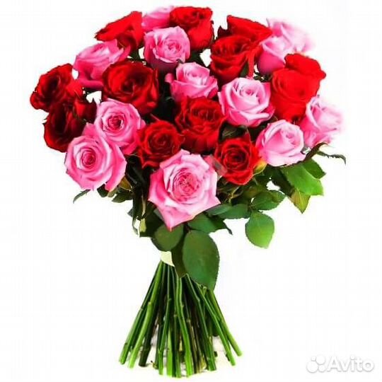 25 роз
