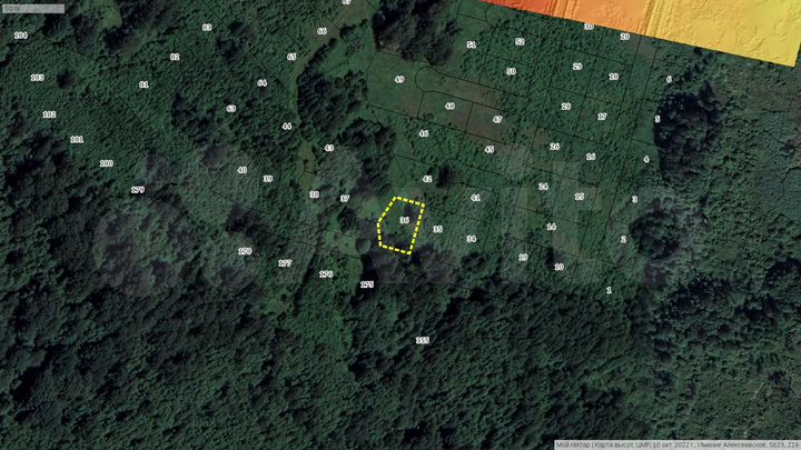 Участок 11 сот. (СНТ, ДНП)