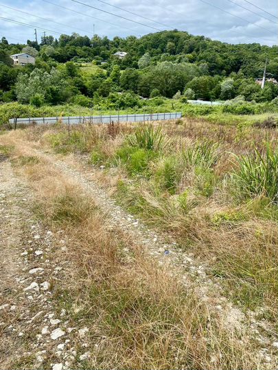 Участок 20 сот. (СНТ, ДНП)