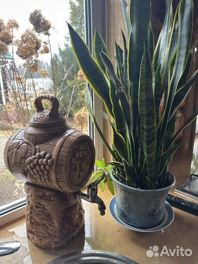 Бочонок для напитков