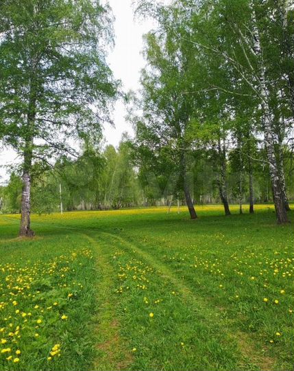 Участок 6,5 сот. (ИЖС)