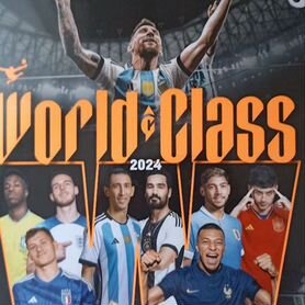 Наклейки panini world class 2024