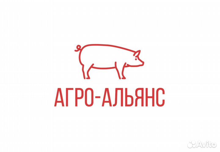 Инженер-эколог