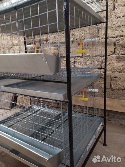 Клетки для бройлеров