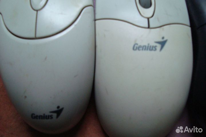 Мышь компьютерная