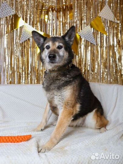 Ласковый и спокойный Зайчик