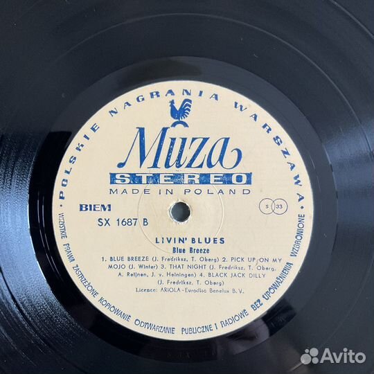 Livin Blues blue breeze