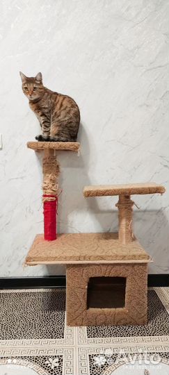 Стойка для кошки с домиком