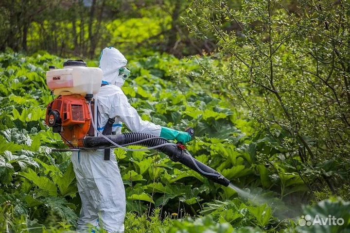 Уничтожение клопов/слизней/короеда/змей/ос/мух