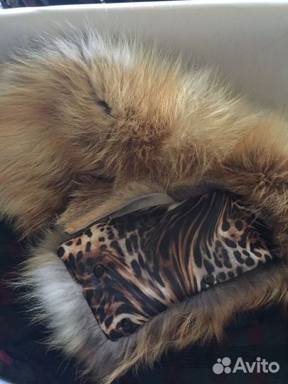 Меховой воротник лисы