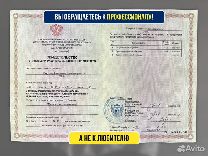 Уничтожение тараканов, клопов / Дезинфекция