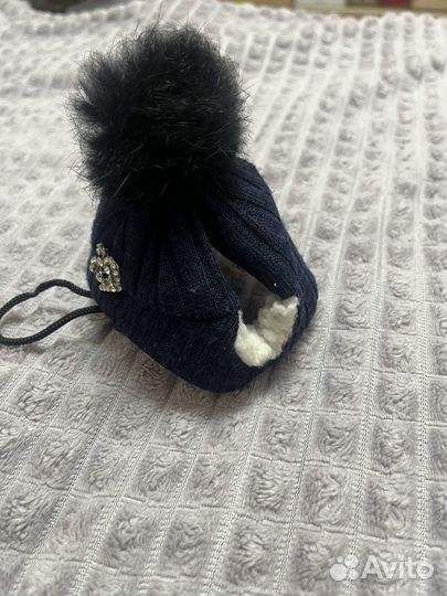 Шапка для собак