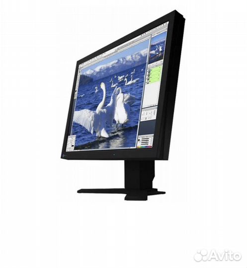 Монитор Eizo ColorEdge CG211