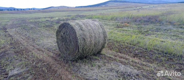 Сено в тюках