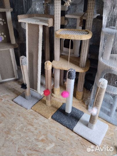 Столбик когтеточка