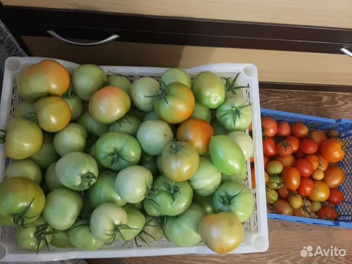 Продам помидоры, перец острый (мелкий)