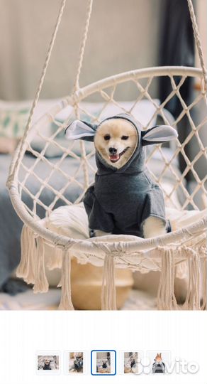 Кофта для собак