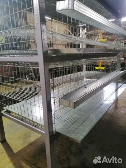 Клетка многоярусная для перепелов