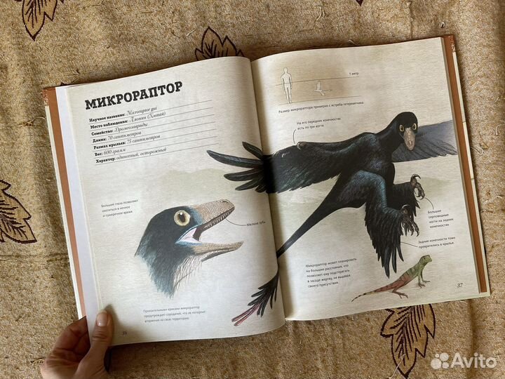 Книга Меловой период. Динозавры