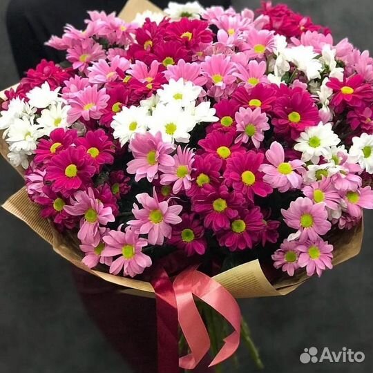 Хризантема, букет хризанем