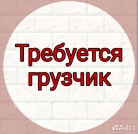 Работа грузчиком ежедневные выплаты