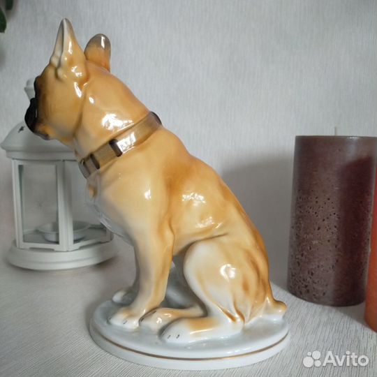 Фарфоровая статуэтка собака лфз Боксер