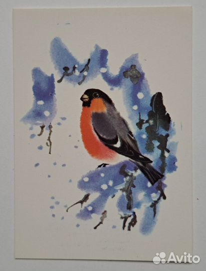 Открытки СССР чистые