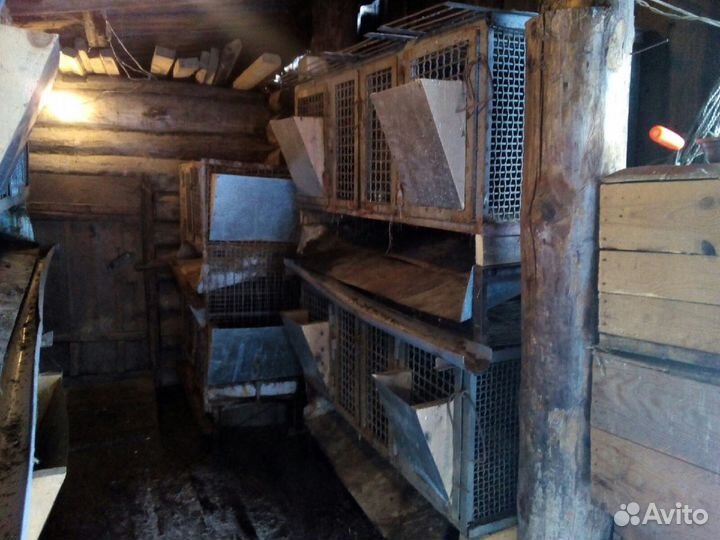 Клетки для животных