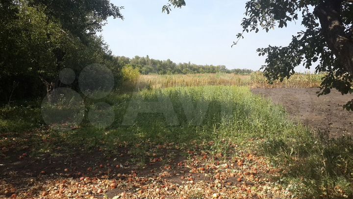 Участок 23 сот. (ИЖС)