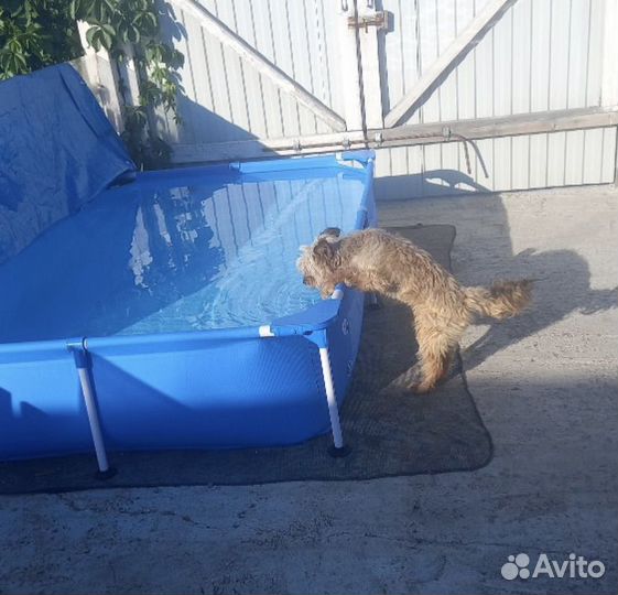 Детский каркасный бассейн BestWay