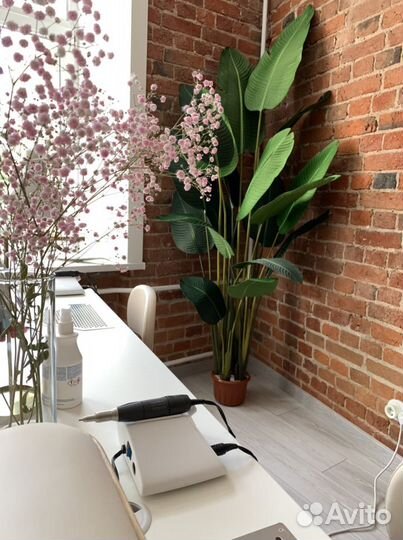 Искусственные растения. Банановая пальма/Стрелиция