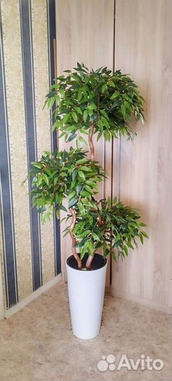 Искусственное дерево IKEA пальма лимон стрелиция