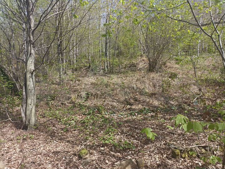 Участок 5 сот. (СНТ, ДНП)