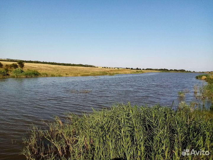 Рыбалка Марьины Колодцы