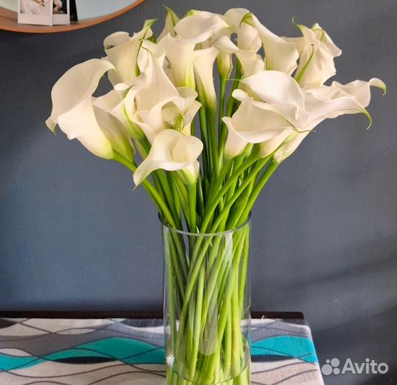 Белые каллы поштучно и в букете