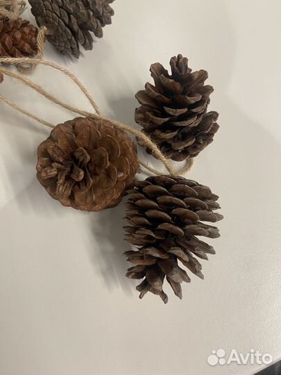 Шишки лесные для творчества