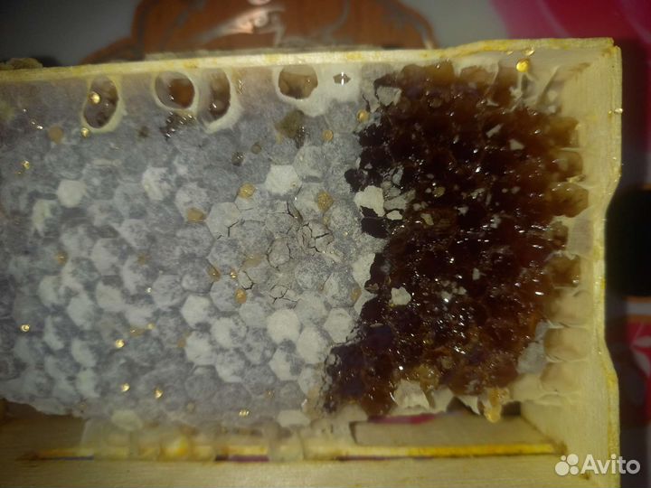 Мед в сотах