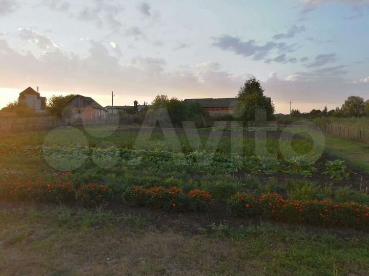 Дом 61,8 м² на участке 34 сот.