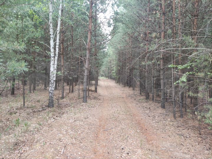 Участок 42,16 га (СНТ, ДНП)