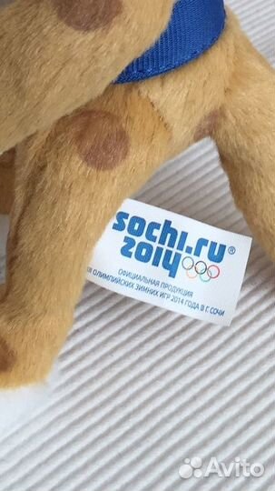 Тигр Сочи 2014